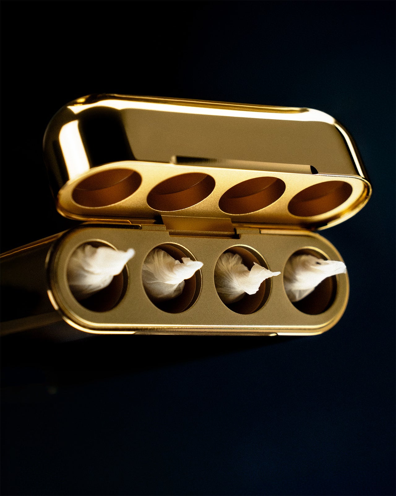 Carry Case - Gold